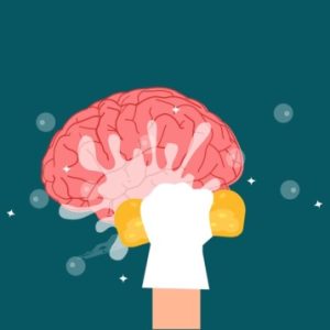 curso sanando rencores para mujeres empoderadas de todo México