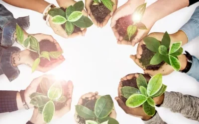 Empoderamiento en la Comunidad