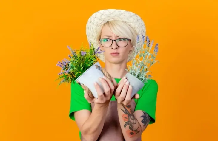 Empoderamiento Económico y Desarrollo Profesional